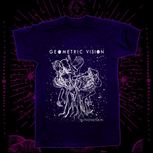 Geometric Vision